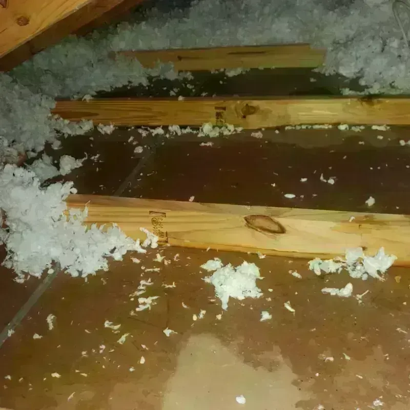 Attic Water Damage in Collin County, TX