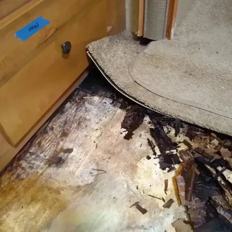 Wood Floor Water Damage in Collin County, TX